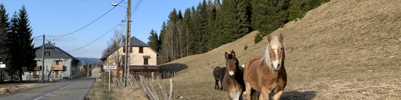 Les actu de notre commune