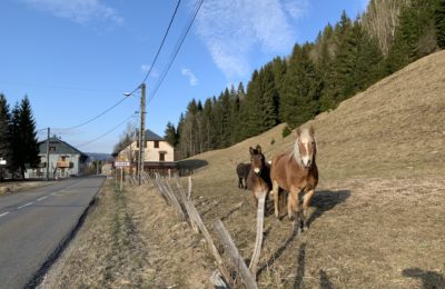Les actu de notre commune